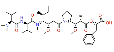 Symplostatin 3